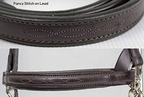 Derby Originals Premium Raised Padded Fancy Stitch Leather Cattle Show Halter with Matching Chain Lead - color: Havana, size: Small (350-700lbs)