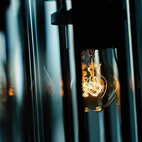 Warm Incandescent Light Bulbs 60 Watt,A19/A60 Vintage Style Edison Bulbs E26,Soft Yellow Light Bulbs,Amber Bulbs,Retro Light Bulb Old Fashioned,Halogen Dimmable Edison Bulb Squirrel Cage - size: 6 Count (Pack of 1)