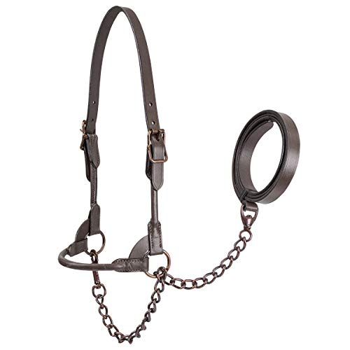 Derby Originals Bronze Beauty Premium Round Rolled Leather Cattle Show Halter with Matching Chain Lead - color: Black, size: Small