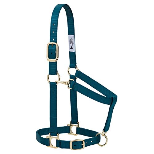 Weaver Leather Basic Adjustable Chin and Throat Snap Halter - color: Teal Green, size: 1" Large Horse