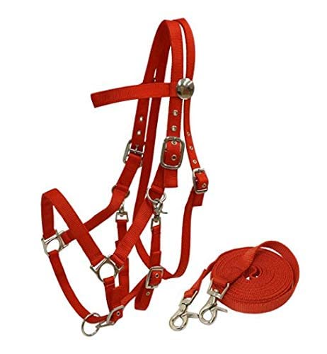 Nylon Combination Halter Bridle w/Reins - color: Red