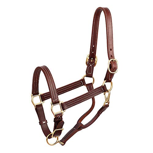 Perri's Premium 1-Inch Leather Show Halter, Cob - color: Chestnut