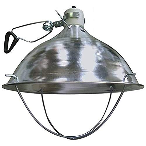 Deluxe with CLAMP BROODER LAMP Fixture for Chicken COOP Hen House Chick Warmer Heat Light