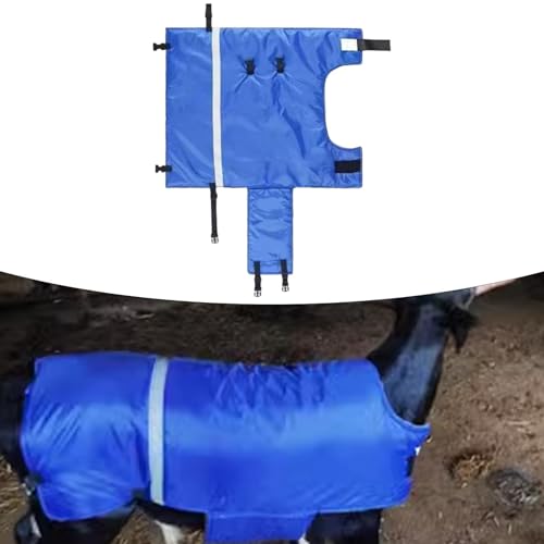 Calf-Warming Clothing, Calf-Warming Blanket, Windproof Oxford, Keeping Calves Warm, Accessories, Blue Jacket, L Waterproof - color: L Waterproof