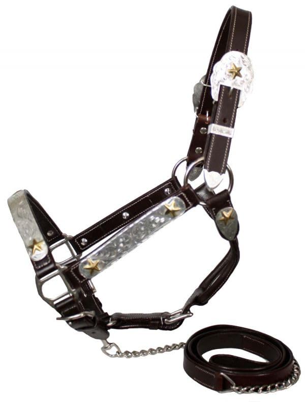 Showman Leather Show Halter w/Engraved Silver & Gold Star Accents