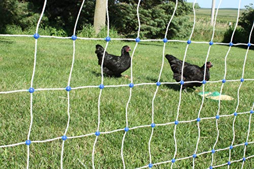 48β x 100β Premium Plus+ Braided Electric Poultry Netting (12/48/3) Electric Chicken Fencing for Backyards, Homesteads, Farms, and Ranches