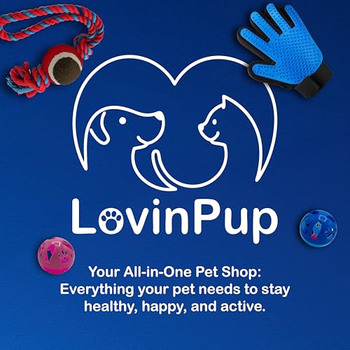 Pet Metal Comb for Dogs and Cats (2-Pack) - Stainless Steel Rounded Teeth for Painless Detangling - Dual-Spacing for Small & Large Pets with Comfort Grip Handle - Professional Grooming Tools - size: Comb