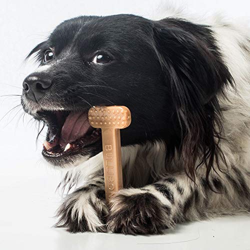 Bullibone Nylon Dog Chew Toy for Aggressive Chewers - Dental Hygiene Bone with Bacon Flavor, Durable Tough Chew Toys for Small Dogs, Indestructible Dog Bone - 2 Pack - size: Small - 2 Pack