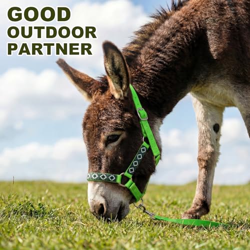 1 Set Miniature Donkey Halter with Lead Ropes, Cute and Stylish Adjustable Nylon Head Collar Set for Miniature Donkeys (Bright Green) - color: Bright Green