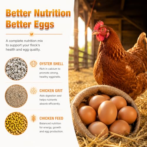 Chicken Feeder 2 Pack, Metal Wall-Mounted Automatic Feeder for Oyster Shell & Grit, No-Spill Heavy-Duty Chicken Coop Accessory, Feed Dispenser for Backyard Poultry