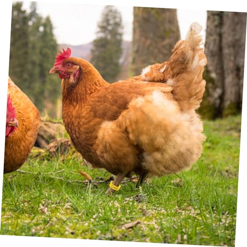 GANAZONO 50pcs Chicken Identification Anklets Digital Leg Bands for Hens Pigeons Ducks Geese