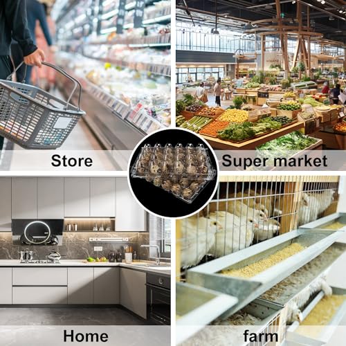 120 Pack Quail Egg Cartons - Clear Plastic Trays Hold 24 Eggs Securely, Ultimate Small Egg Holders for Bulk Storage and Display - size: 120 Pack Quail Egg Cartons 24 Grids