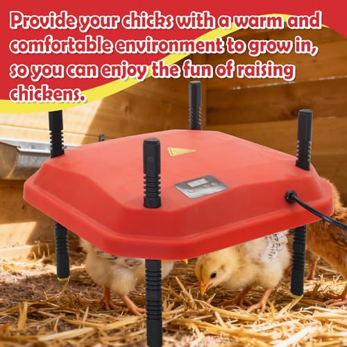 Chick Brooder Heating Plate Adjustable Height and Angle Plate Temperature Display for up to 20 Chicks 50W Chicken Coop Accessories Poultry Heating for Small Chicks,Ducks,Quails