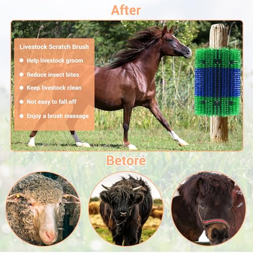 Livestock Scratching Brush 2 Pcs, Heavy Duty Horse Brush with Mounting Screws, Itch Relief & Grooming for Cattle Goat Pig Cow, Farm Animal Back Scratcher, Blue & Green - color: Blue green 2