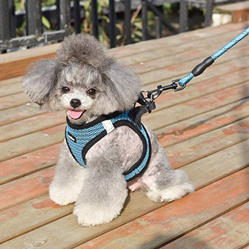 Dog Harness Step-in Breathable Puppy Cat Dog Vest Harnesses for Small Medium Dogs - color: Blue, size: Medium (Chest 13.5''-16.5'', Weight 10-15 lb)