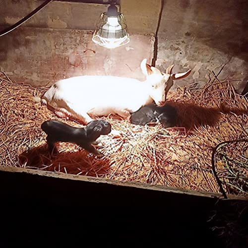 ibasenice Heat Lamp Bulbs Livestock Lamp Shade Explosion Proof Explosion Proof Heating Anti Scald Net 3 Pcs Snake Cage