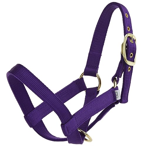 Nylon Turnout Calf Halter Purple - color: Purple