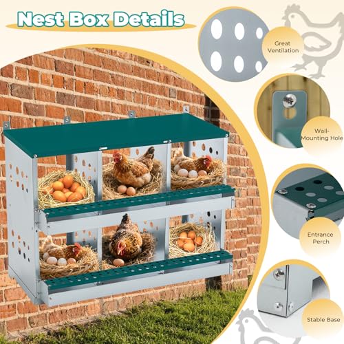 Yafylly Chicken Nesting Box 6 Compartments, Metal Chicken Laying Boxes Wall Mountable, Easy Egg Collection Roll Away Nesting Boxes Chicken, Chicken Coop Nesting Boxes for Hens Laying Eggs - color: Green, size: 6-Hole