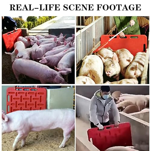 Livestock Sorting Panel with Paddle, Animal Guide Board Sturdy and Lightweight, Animal Guide Board Sturdy and Lightweight Durable Livestock Panels to Guide Cattle, for Hogs Sheep,Red,A - size: A