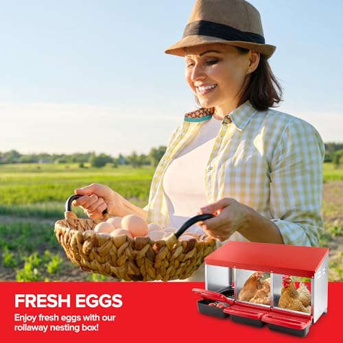 Chicken Nesting Boxes for Laying Eggs, 3-Compartment Roll-Away Nesting Boxes for Chickens Coop with Perch, Hens, Ducks & Other Poultry, Includes 3 Wooden Dummy Eggs
