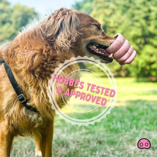 Oinker Treat Puzzle Dog Toy β Heavy Duty Natural Rubber Chew Toy for Aggressive Chewers β Dual-Hole Interactive Treat Dispenser β Durable Pink Pig Enrichment Toy β Designed in Seattle, WA