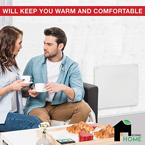 EconoHome Wall Mount Space Heater Panel - 250 Watt Splashproof Convection Heater with Thermostat - Ideal for 100 Sq Ft Room or Bathroom - 120V Electric Heater