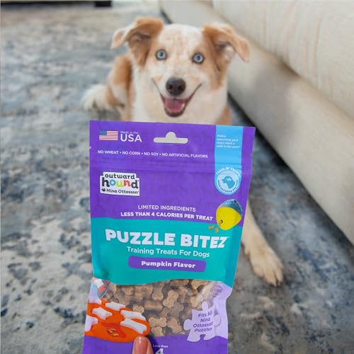 Outward Hound by Nina Ottosson Puzzle Bitez USA Made Dog Treats, Pumpkin Flavor, Bite-Sized Training Reward and Interactive Puzzle Toy Treats, 7.5oz - size: 7.5 Ounce (Pack of 1), style: Pumpkin