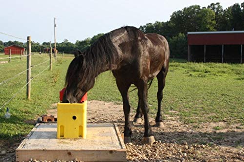 Ritchie Omni Fount 1 Automatic Heated Cattle Horse Waterer