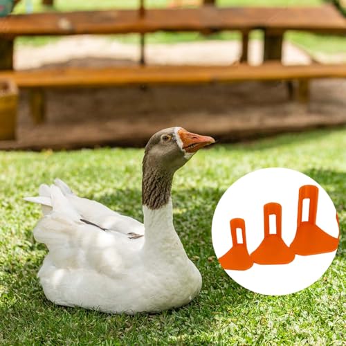 Chicken Leg Splint for Poultry - 4 Sizes, Ideal for Fixing Fractures, Curled Toes, Osteoarthritis & Plantar Warts in Chickens, Ducks, and Geese (Orange-for Chicken Leg)