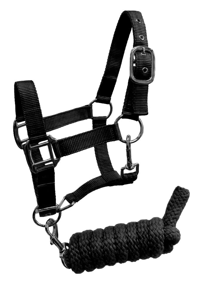 Pony Size Nylon Halter with Removalbe 7' Lead (Black) - color: Black