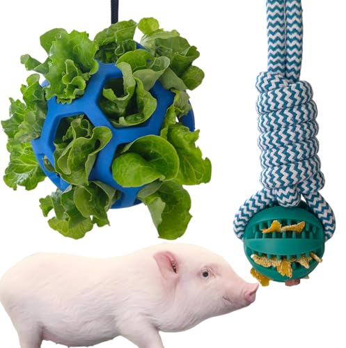 2PCS Pig Enrichment Toys, Mini Pig Supplies, Hanging Chew Ball with Rope + Replaceable Feeder Foraging Ball, Interactive Pig Enrichment Toy Set for Pigs, Treat Dispensing & Chew Activity Toy