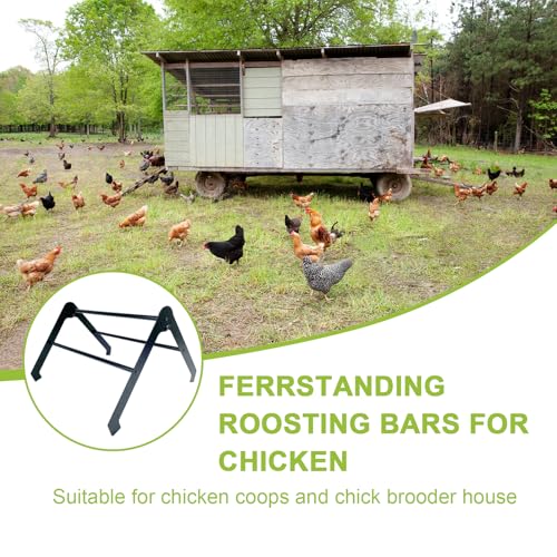 Chicken Roosting Bars for Coop – Heavy-Duty Stainless Steel Chicken Ladder & Perch for Chicks, Hens & Small Poultry, Easy to Assemble & Clean, 2-Tier Adjustable Design