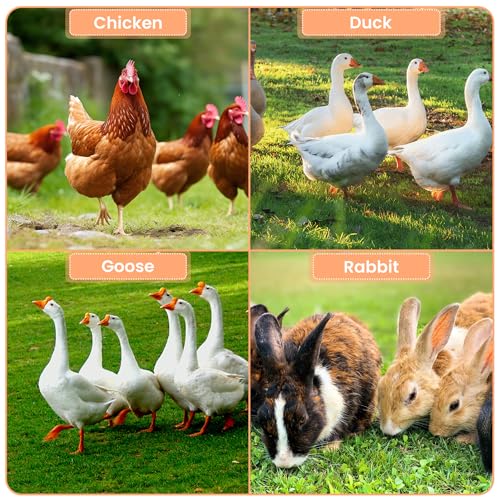 Large Metal Chicken Coop, Walk-in Chicken Run Pen with Waterproof Anti-UV Cover, Heavy Duty Poultry Cage for Chicken, Duck, Rabbit, Outdoor Backyard Farm Use - size: 236"L x 118"W x 78.7"H