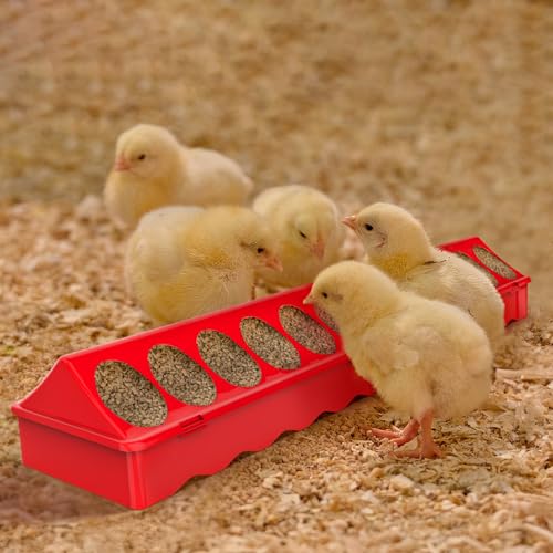 2-Pack Plastic Flip-Top Poultry Feeders, Spill-Proof Chick Feeder Trough with Multiple Feeding Holes, No-Waste Baby Chicken, Duckling, and Quail Feeding Dish Dispenser - color: 2 Pack
