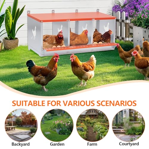 Chicken Nesting Box for Laying Eggs (31.8" L x 17" W x 15" H) | 3 Room Chicken Laying Boxes, Nesting Boxes for Chickens, Heavy Duty Metal Chicken Coop - size: 31.8" L x 17" W x 15" H