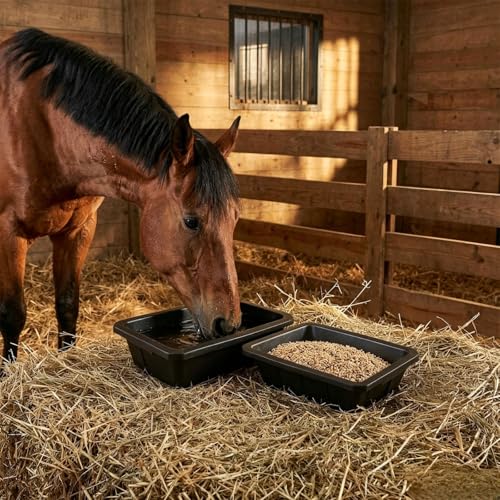 Cididu 2 Pack Rubber Feeder Pan, 10 Quart Large Horse Trough Feeder Bucket, Heavy Duty 2.5 Gallon Chicken Dust Bath Tub Water Bowl for Pig Goat Dog Cat Farm Livestock Animal Feeding, Rectangular