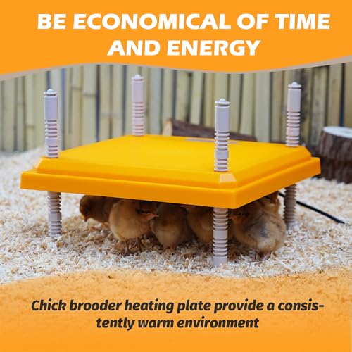 Brooder Plate for Chicks, 12" x 12" Chick Heating Plate Whit Adjustable Heights