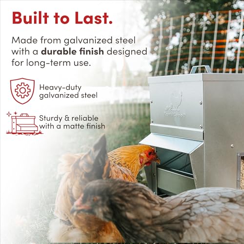 RentACoop Metal Trough Feeder with Lid & Rain Cover – Galvanized Steel, Gravity-Fed, Side View Window, Adjustable Grate for Easy Cleaning, Suitable for Chickens, Ducks, Poultry & More – 10lb Capacity - size: 10LB Capacity