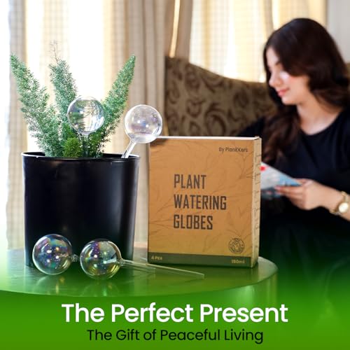 Iridescent Self Watering Globes, Glass Rainbow Plant Watering Globes, Self Watering Planter Insert, Automatic Plant Waterer Indoor (Medium-6 Pcs Iridescent, Medium) - color: Medium - 6 Pcs (Pack of 1)