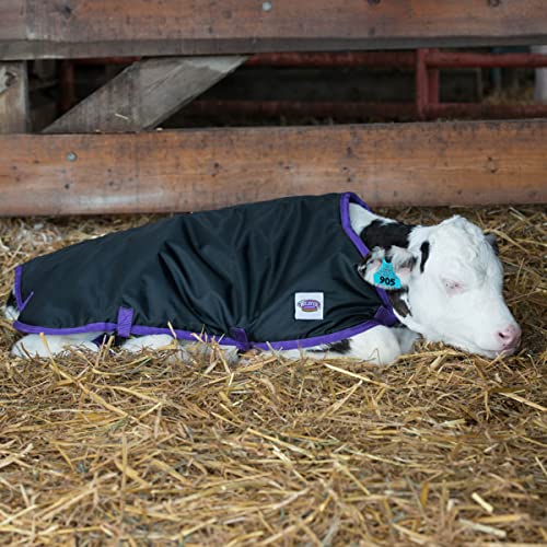 Weaver Leather Livestock Pro Calf Blanket