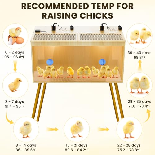 Brooder Box For Chicks, 32 Inch Large Wooden Chicken Brooder Box With Legs, 75W Heat Lamps, Thermometer, Chicken Feeder & Waterer Set, Tin Foil, Ideal For 12-15 Chicks Ducks Quail, Large(Legs)