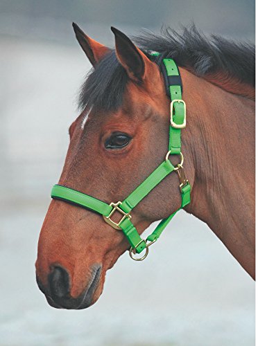 Shires Topaz Leather Breakaway Nylon Headcollar - color: Green, size: Small Pony