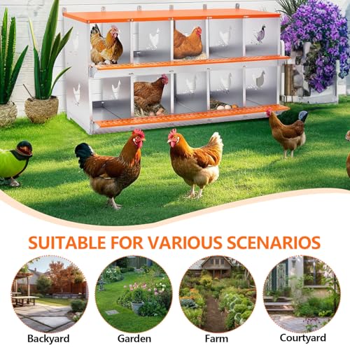 Chicken Nesting Box for Laying Eggs (53" L x 17" W x 25" H) | 10 Room Chicken Laying Boxes, Nesting Boxes for Chickens, Heavy Duty Metal Chicken Coop - size: 53" L x 17" W x 25" H