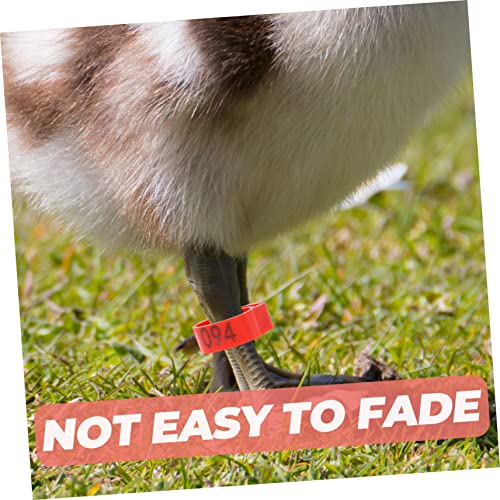 Yardwe 200pcs Chicken Leg Bands Poultry Leg Ring Bird Accessories Identification Rings for Chicks