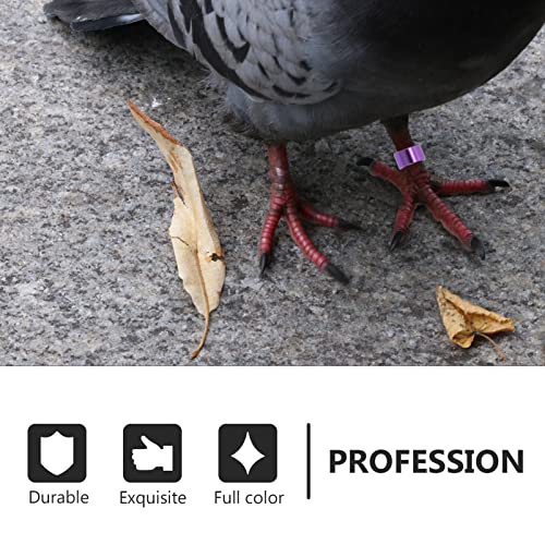Chicken Leg Bands 18pcs Bird Leg Rings Numbered Bird Identification Dove Bands Poultry s Clip on Rings for Bantam Dove Pigeons Love Coturnix Quail Foot Ring Labels