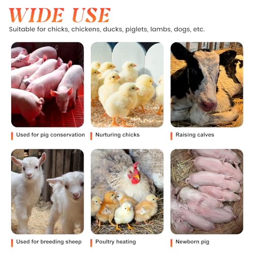 Chicken Heat Lamp Chick Brooder Chickens Coop Heater Heating Lamp for Outdoor & Indoor 300W Heater for Dog Rabbit Duck Chicken Piglet Goat (300W)