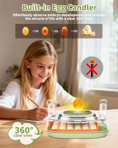 Egg Incubator for 24 Chicken Eggs with Automatic Turner, Digital Temperature Control & Humidity Display, Candler, Poultry Hatcher for Chicken, Duck, Quail, Birds (Green) - color: Green