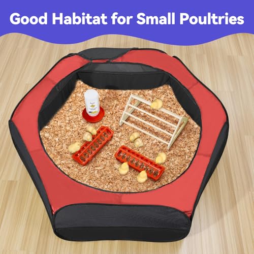 Pawaboo Chick Brooder Box for Chick Starter Kit, Brooder Pen/Chicken Supplies Brooders Box with Chicks Perch Brooding Up to 15 Chicks, Duck and Quail, Red+Black - color: Z-Red+Black