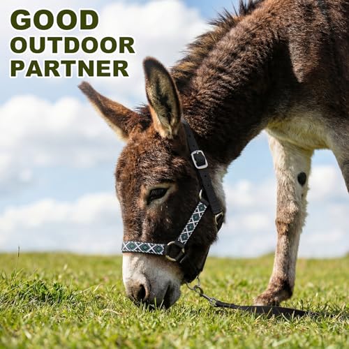 1 Set Miniature Donkey Halter with Lead Ropes, Cute and Stylish Adjustable Nylon Head Collar Set for Miniature Donkeys (Black) - color: purple, pink
