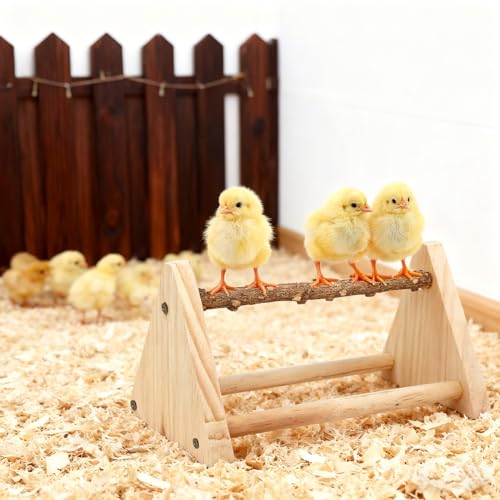 2-in-1 Chick Perch & Ramp Trainer Set, Wooden Chicken Roost Bar & Stand for Brooder Coop, Baby Chicken Supplies Toys for Chicks Ducks Quails and Small Animals